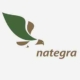 nategra-icon