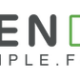 ZenDigma Simple Fast Digital Logo