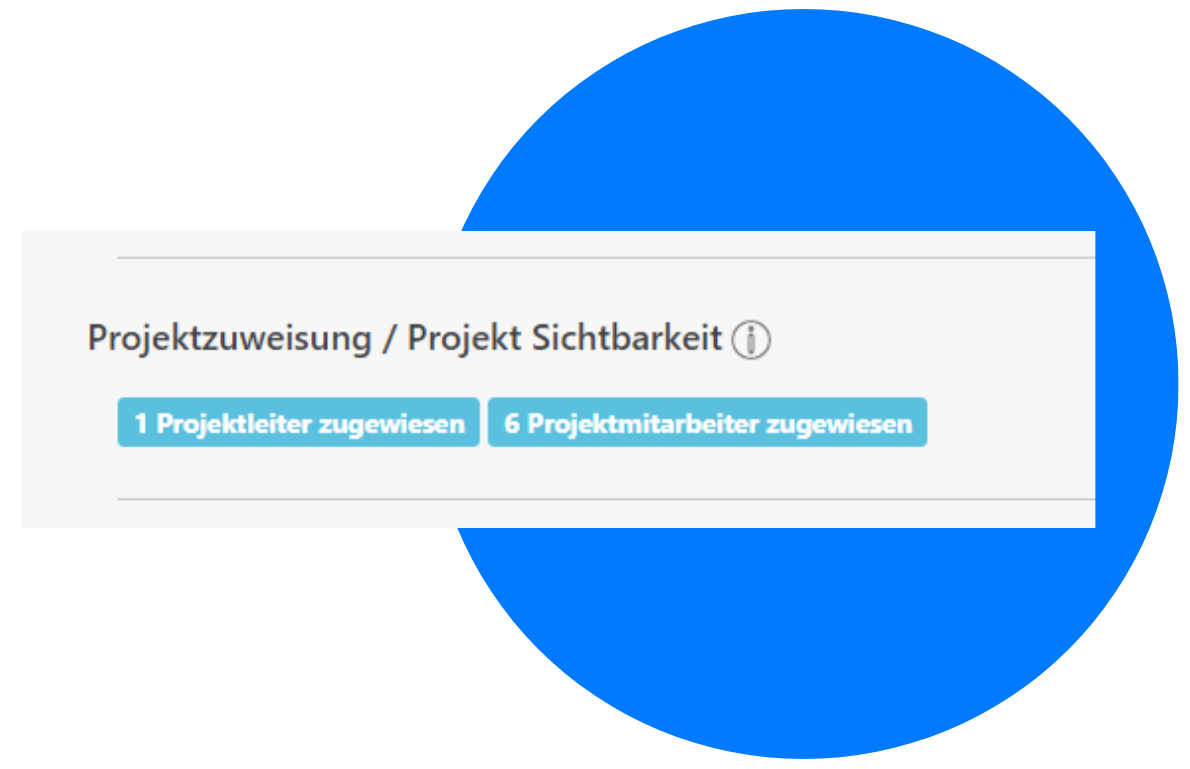 projektleiter