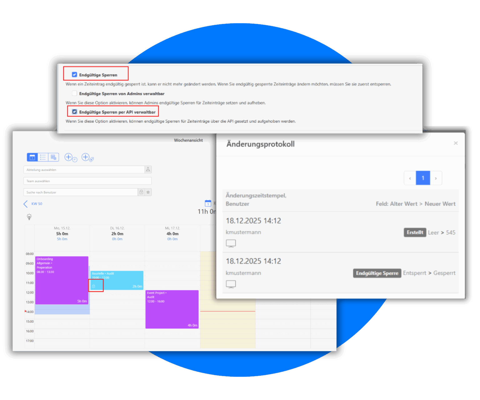 Software Projektsperre
