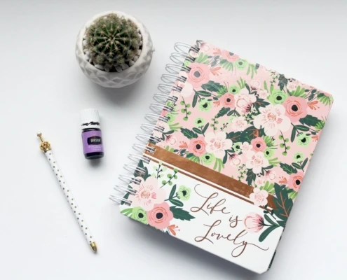 daily-pre-task-plan