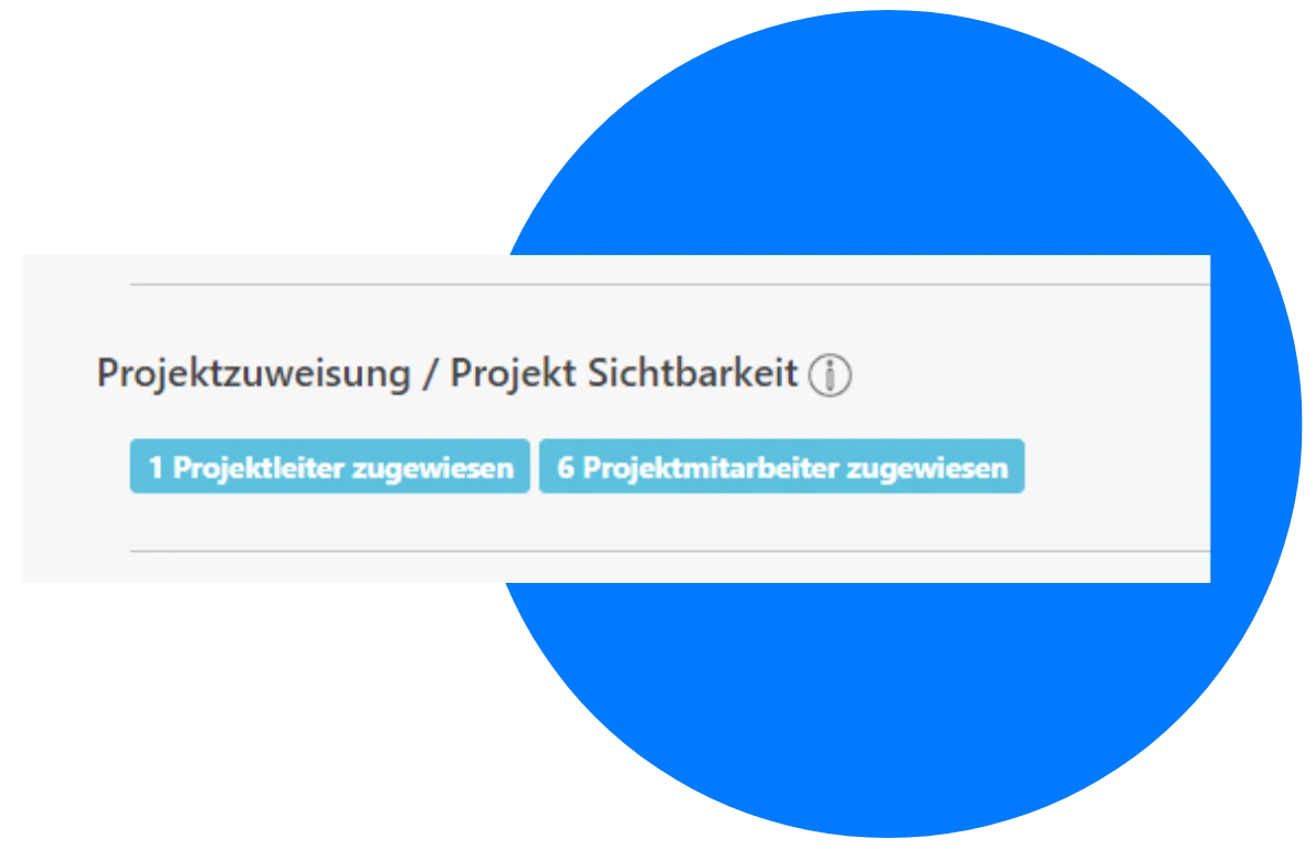 projektleiter